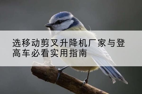 黑水电动升降机厂家-选移动剪叉升降机厂家与登高车必看实用指南