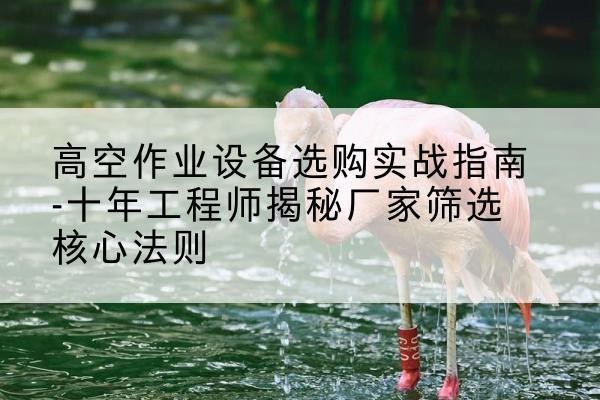 黑水剪叉式升降机厂家-高空作业设备选购实战指南-十年工程师揭秘厂家筛选核心法则