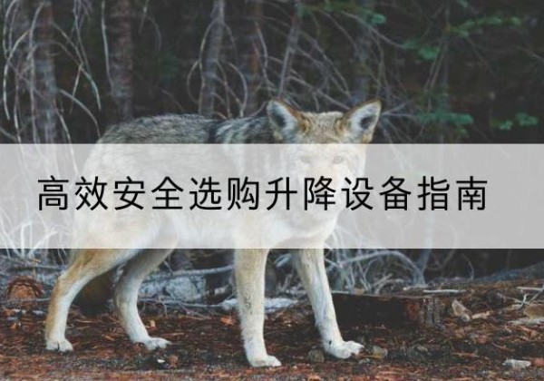 黑水升降货梯厂家推荐-*安全选购升降设备指南