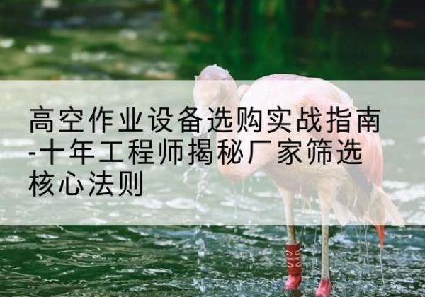 黑水剪叉式升降机厂家-高空作业设备选购实战指南-十年工程师揭秘厂家筛选核心法则